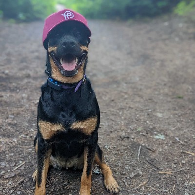 Prodigy Careers tweet media