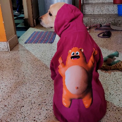 Prodigy Careers tweet media