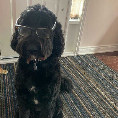 Prodigy Careers tweet media