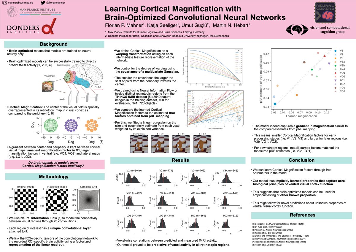 Interested in how we can implicitly learn cortical organization principles in brain-optimized models?

Visit my poster <a href="/CogCompNeuro/">CogCompNeuro</a> today featuring the collaborative work of @kateiyas, <a href="/umuguc/">Umut Güçlü</a>, <a href="/martin_hebart/">Martin Hebart</a> and myself. #ccneuro22