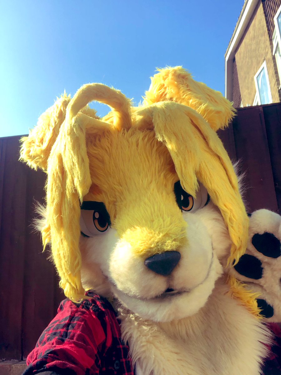 EdWanDog's tweet photo. Last one for #FursuitFriday ! Hiya! I’m Edwan, and I literally demand you give me all your apple pie https://t.co/GCVLPLGJq6