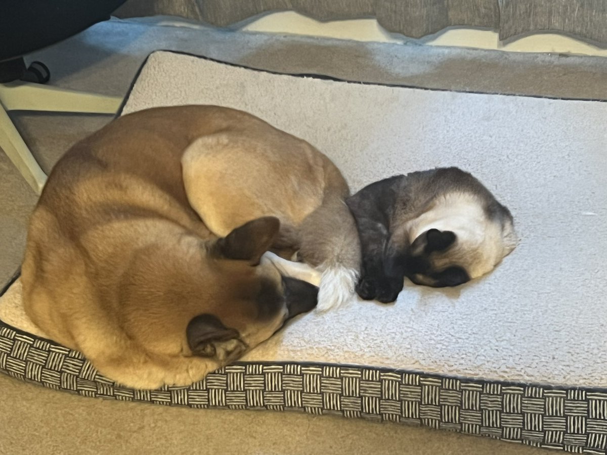 Look at my children making a lopsided heart shape with their cuddles