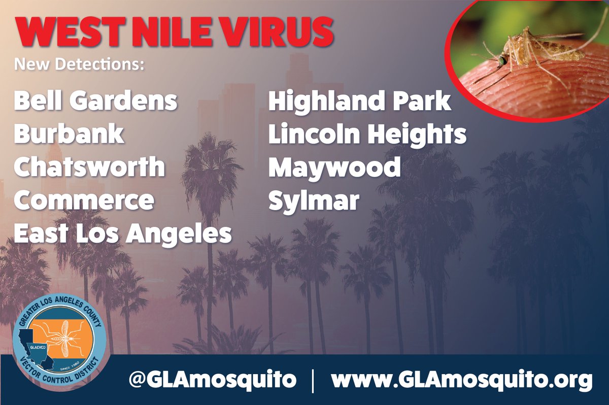 GLAmosquito's tweet photo. Our District has confirmed more #WestNileVirus mosquito samples. This is the first detection for #BellGardens, #Burbank, #Chatsworth, #Commerce, #EastLosAngeles, #HighlandPark, #LincolnHeights, #Maywood, &amp; #Sylmar. 

Visit https://t.co/JLDKS47gqz for tips on #mosquito protection! https://t.co/NiOJhYK91N