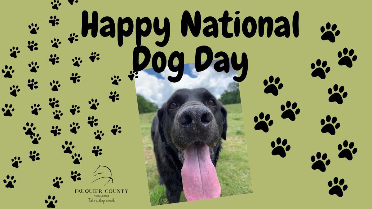 Lets see the dogs in your life!!