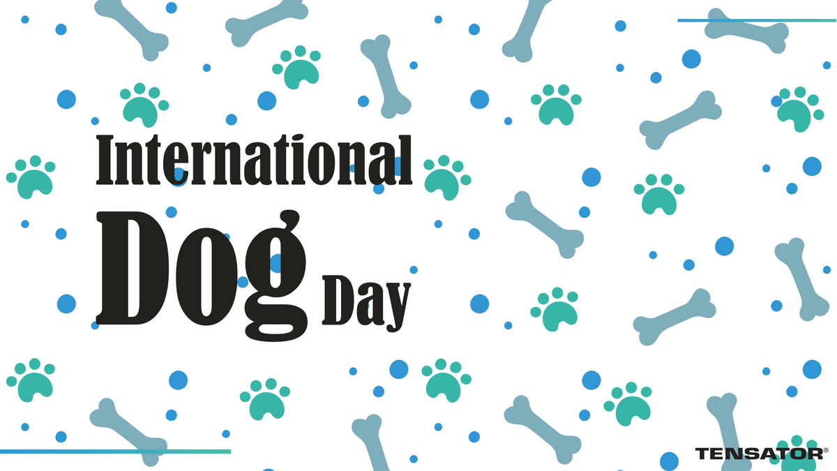Tensator's tweet image. Today is the day!

🐶International Dog Day!

If you&apos;ve got pictures of you and your dog, we want to see them!

Post in the comments below 👇

Have a pawsome weekend!

#internationaldogday #tensator #dogs #puppylove