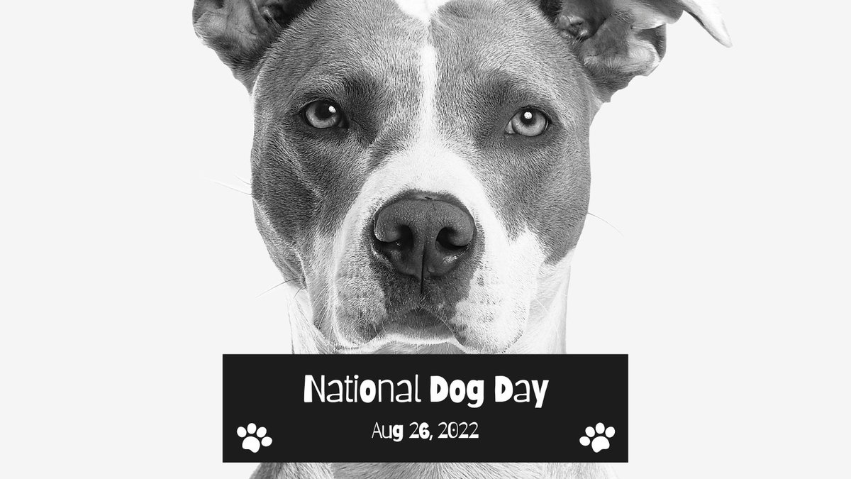 Big Al's Pets tweet media