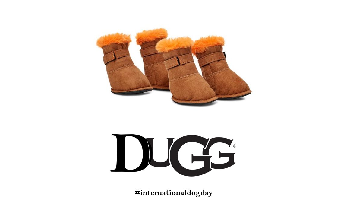 _HB_writes's tweet photo. @OneMinuteBriefs One Minute Brief of the Day:
Advertise #DogOutfits for #InternationalDogDay 🐶👕 For your dog's dogs. https://t.co/QiW3UYTSwX