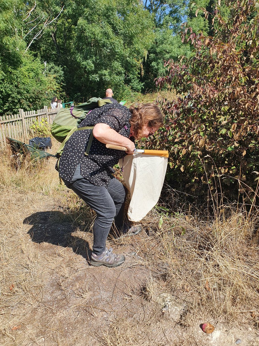 Friends of Tower Hamlets Cemetery Park tweet media