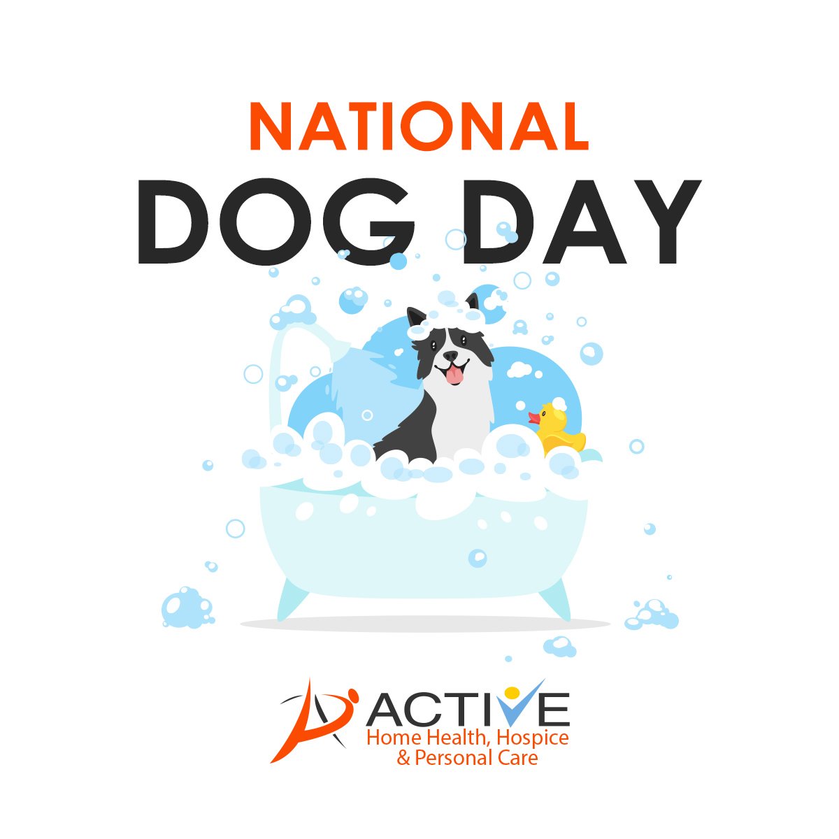ACTIVEHHH's tweet photo. Celebrate #NationalDogDay with us by posting a photo of your furry #pawfriends. Lets have fun and show off your Active colors combined with their silly, fun and joyful personalities. Go team Active!
#ActiveHHH #Doglovers https://t.co/KIEfwlOdUV