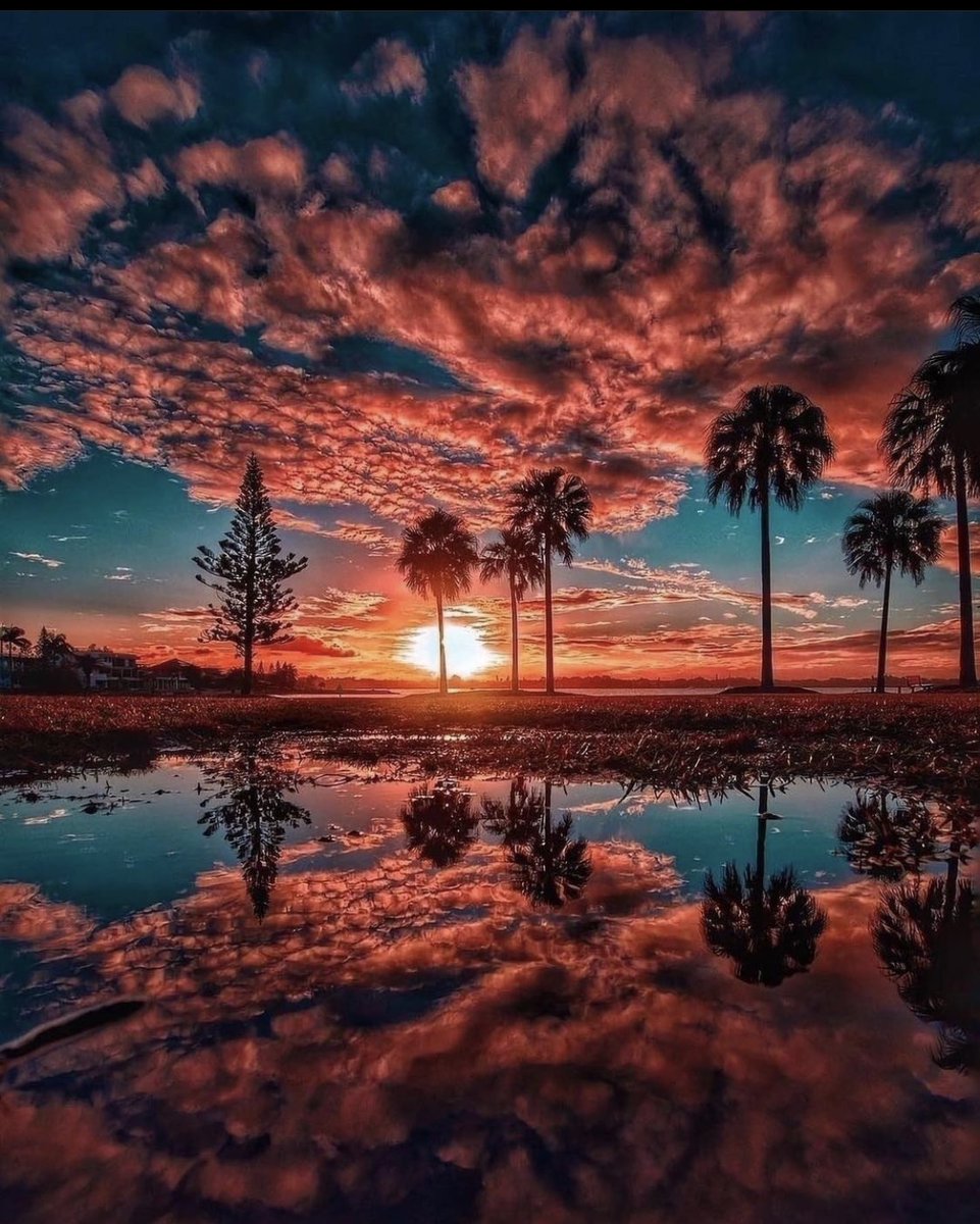barby_turic's tweet photo. 𝒢ℴℴ𝒹 ℰ𝓋ℯ𝓃𝒾𝓃ℊ❣️ https://t.co/8tI8lYDbML