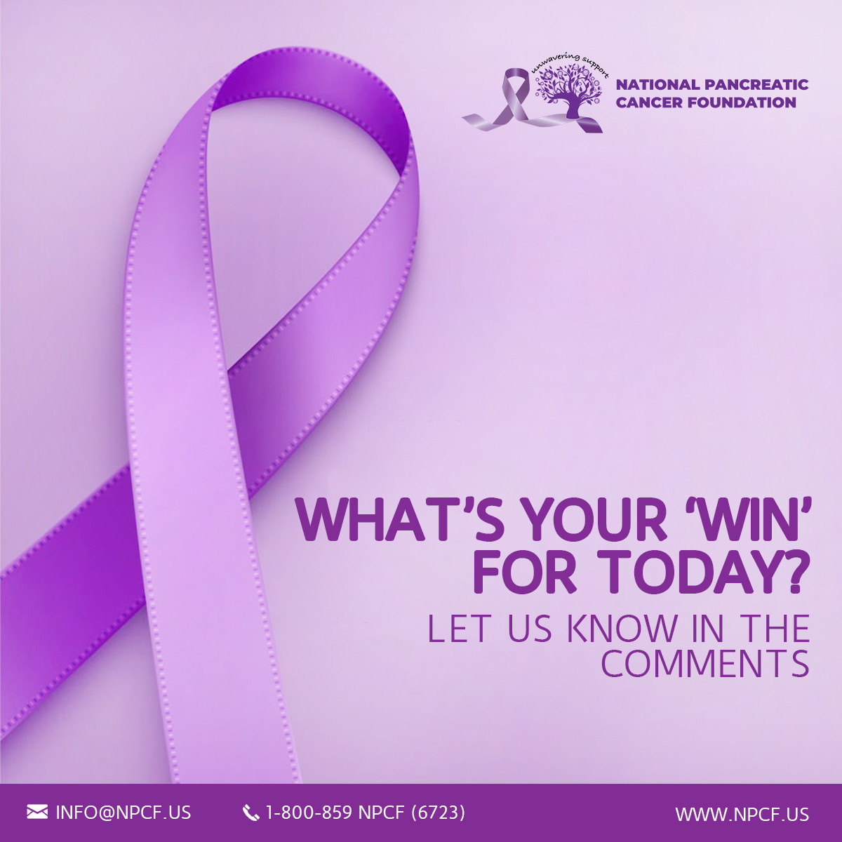 NationalPCF's tweet photo. By focusing on the good things, or the small daily 'wins,' we gain the strength to keep on keeping on💪
What's one of your daily wins or something that uplifted your spirits today? Let us know in the comments👇
#hope4pc #pancreaticcancer #pancreaticcancerawareness https://t.co/KQgMjqtKLQ