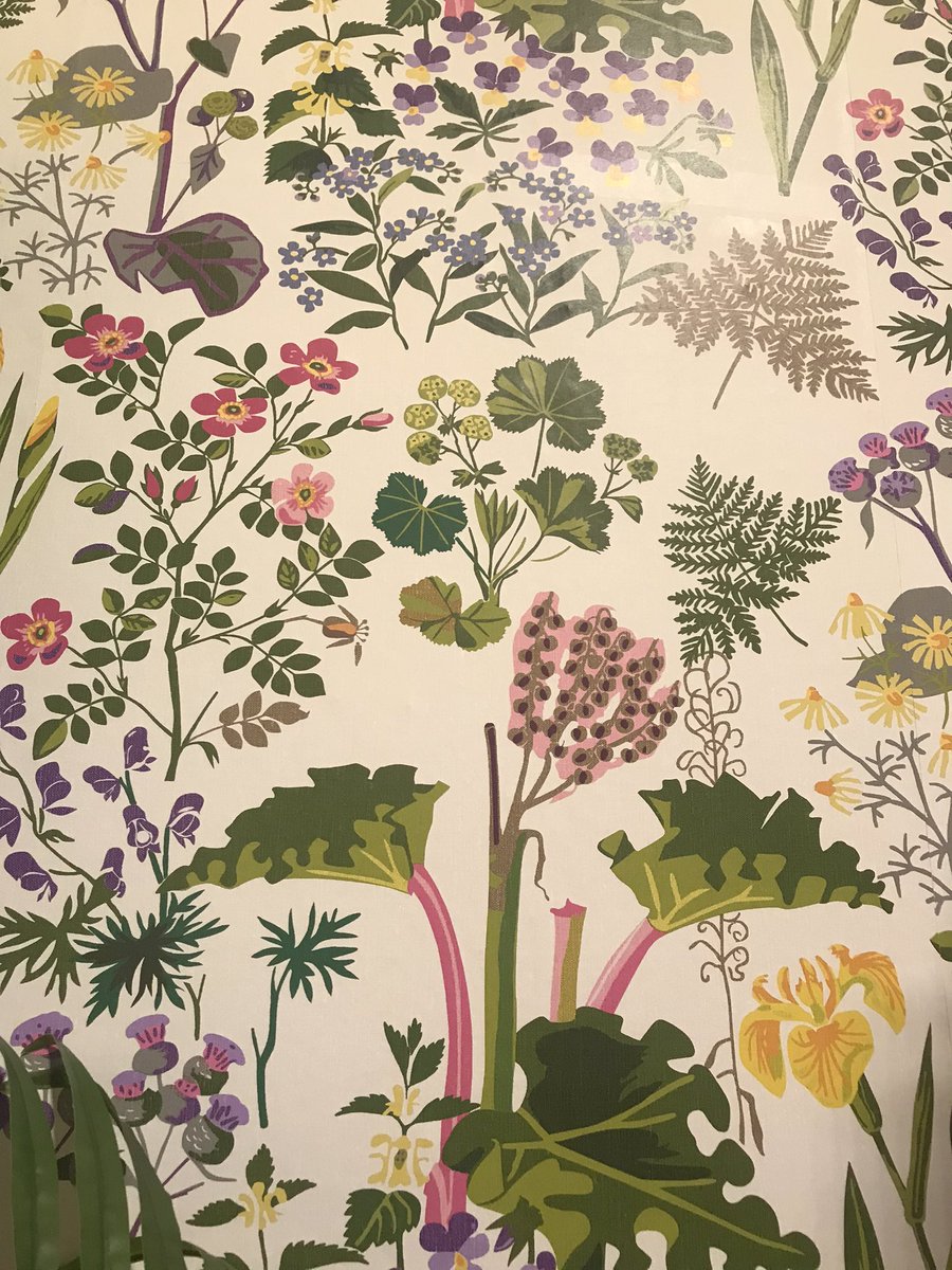 thefoxcottage's tweet photo. Anyone recognise this lovely wallpaper please? It’s used at IKEA Reading in one of their show rooms and I’d like to try and buy some, or similar. #botanical #wallpaper https://t.co/5ECaf4bHFD