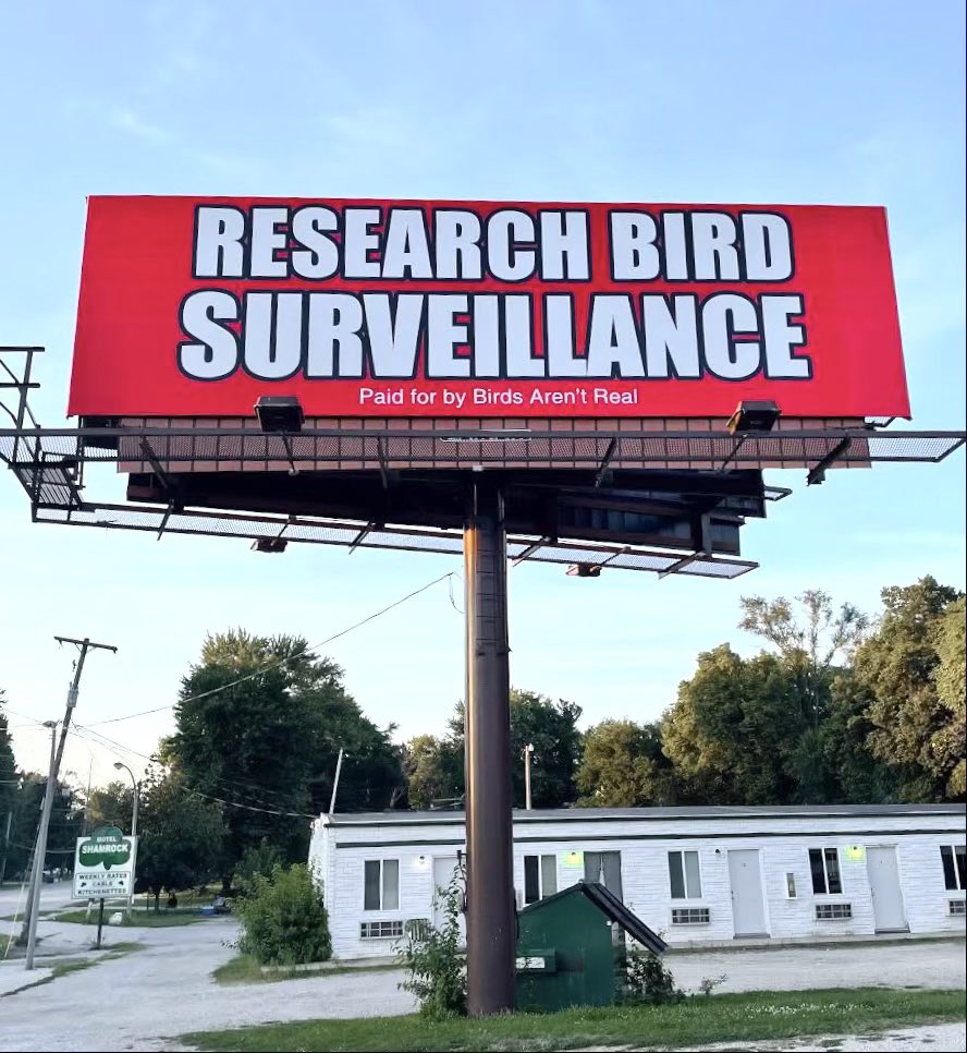 birdsarentreal's tweet photo. Today, 50 billboards go up in all 50 states in the U.S. - Rally announcement soon. Back to business. https://t.co/sAoIcwPCgb
