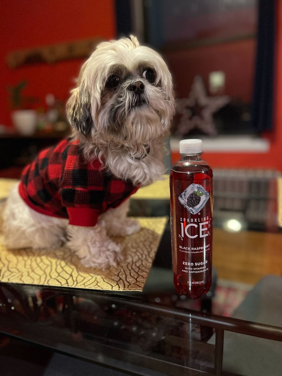 SparklingIce's tweet photo. Wishing our furriest and fluffiest #FlavorCrew members a happy National Dog Day ๐ถ Does your pup have a passion for Sparkling Ice? Share a pic of them with your favorite flavor and tag us for a chance to be featured! https://t.co/glyPgKluUT