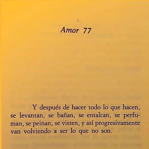 literlandweb1's tweet photo. Después...
#Cortazar https://t.co/a26esw1RW2