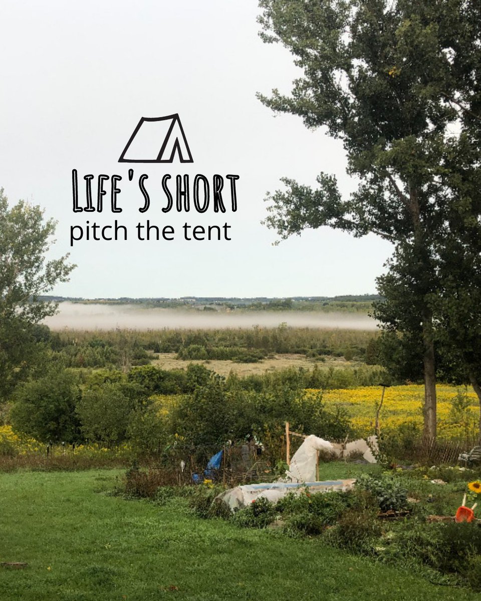 campertunity's tweet image. Life's short, pitch the tent🏕️ ⁠
⁠
Book your perfect camping stay ⁠
with us before summer ends🌞⁠

#campertunity