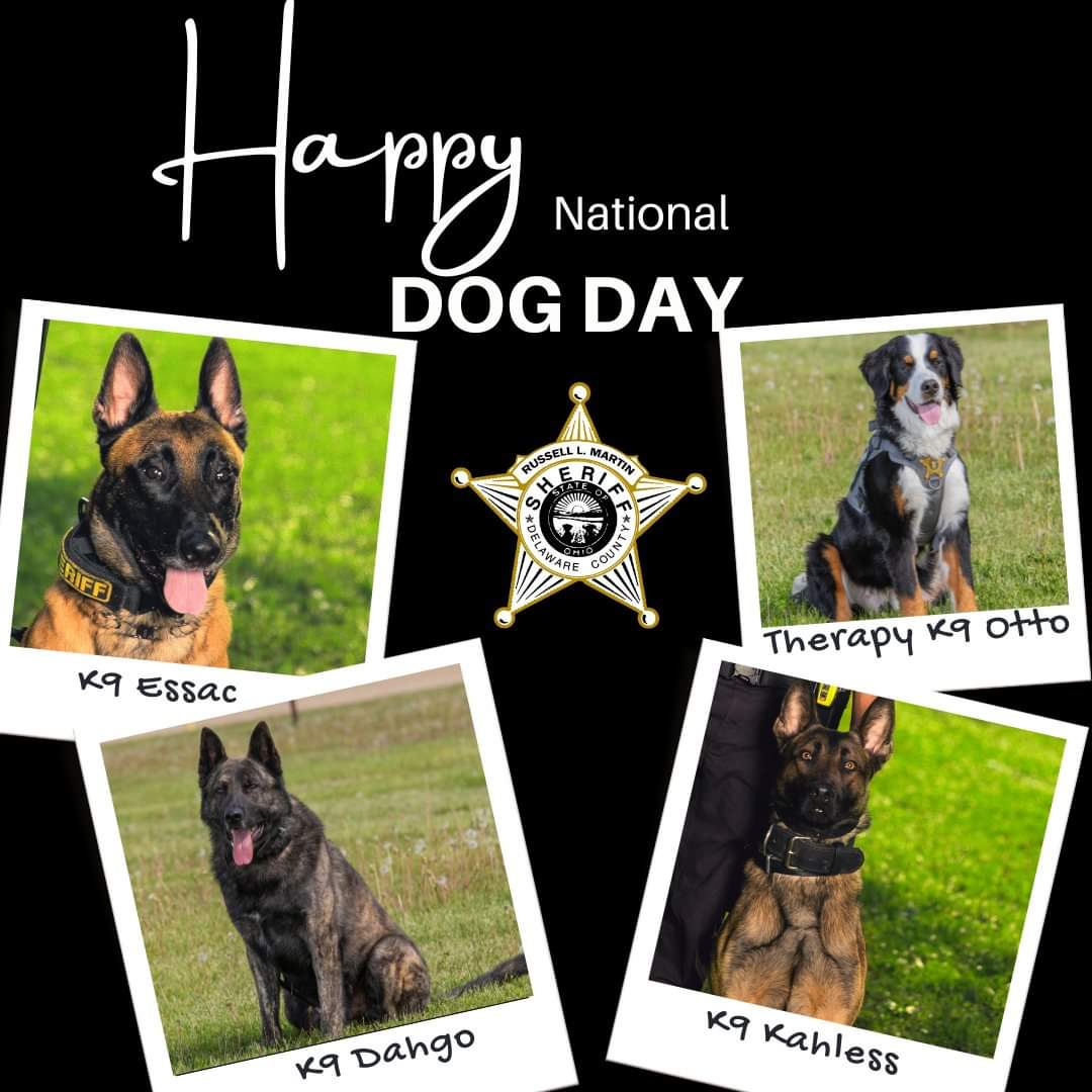 DelCoSheriff's tweet photo. Happy National Dog Day from some of our favorite K9s! 🐾 We love our furry friends, and we're sure you adore yours too. Share a photo of your dog in the comments below. 
#DoggyLove #NationalDogDay https://t.co/3jkmFs3seG