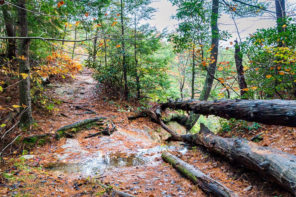 JennaM_Photo's tweet photo. Oh, Red River Gorge. How I miss you so. https://t.co/hhH76BGN28