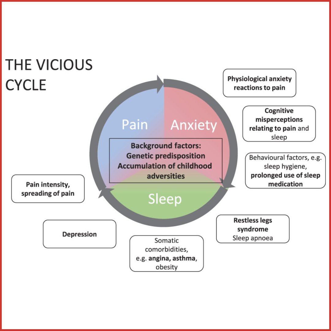 IASPpain's tweet photo. New in #PAIN: sleep problems in pain patients entering tertiary pain care: the role of pain-related anxiety, medication use, self-reported diseases, and sleep disorders. https://t.co/0W0w4dADfd https://t.co/BNcmhyyoJ8
