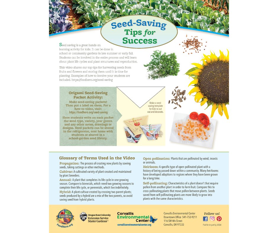 BeAFoodHero's tweet photo. Do you have extra seeds from this year? Not sure what to do with them? Try saving seeds for growing plants next year! #GrowThis #Gardening #GrowAtHome #GardeningTips #SeedSaving
https://t.co/VVLgPpxxwb https://t.co/1jUdIFkyaz