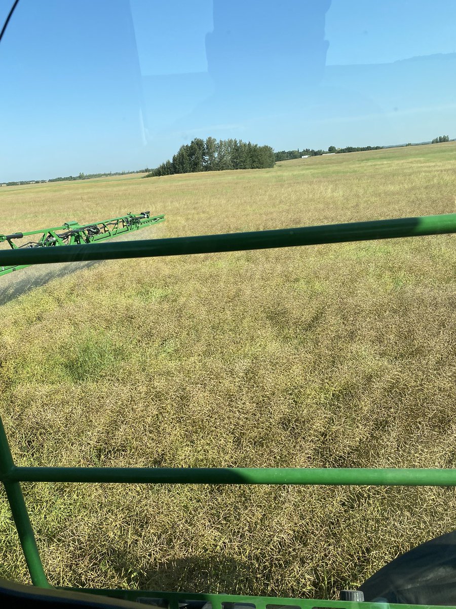 Swathing has started!!