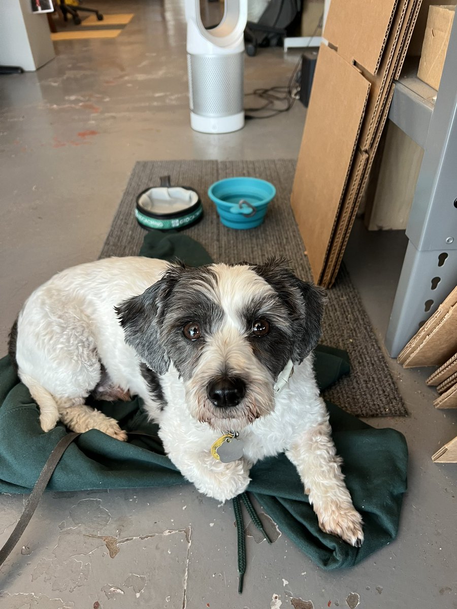 Shop Geocaching tweet media