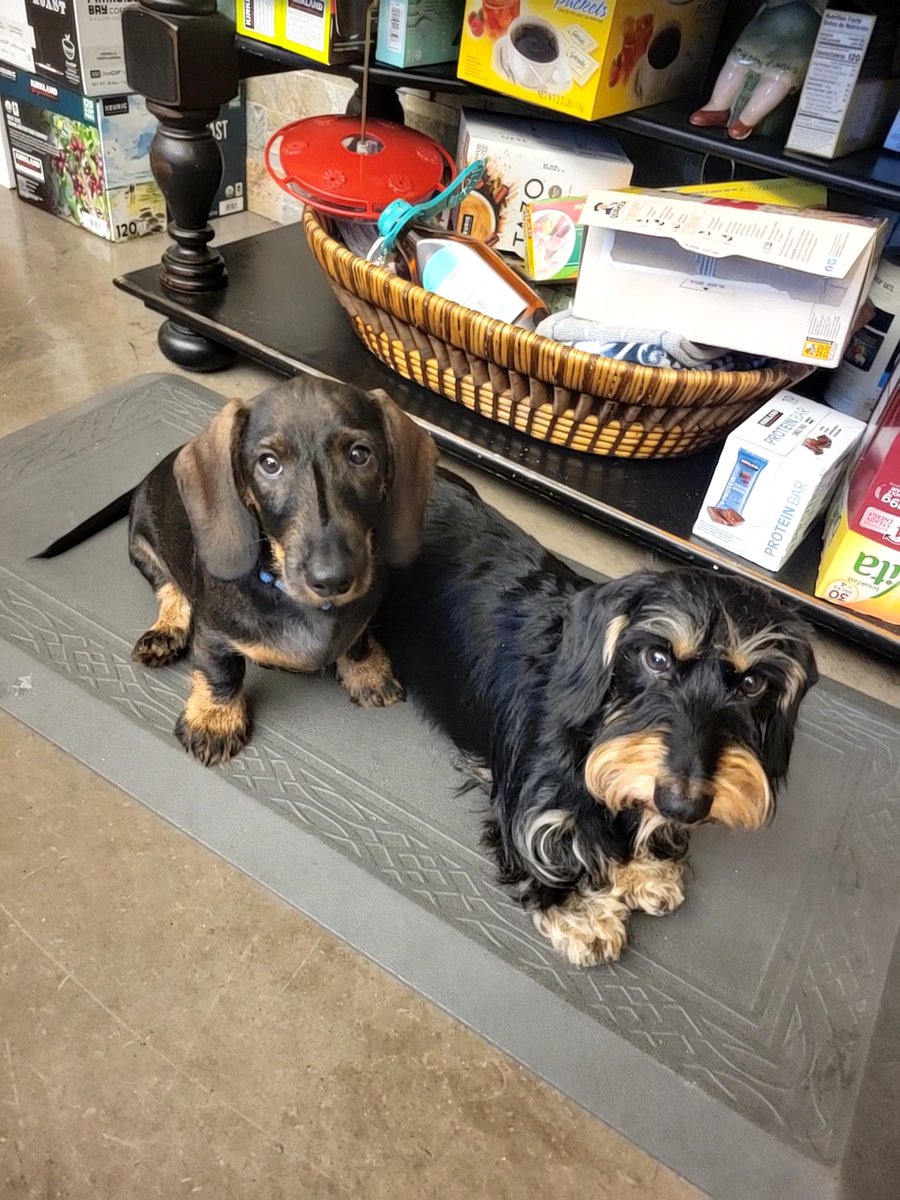 Southwest Hazard Control tweet media