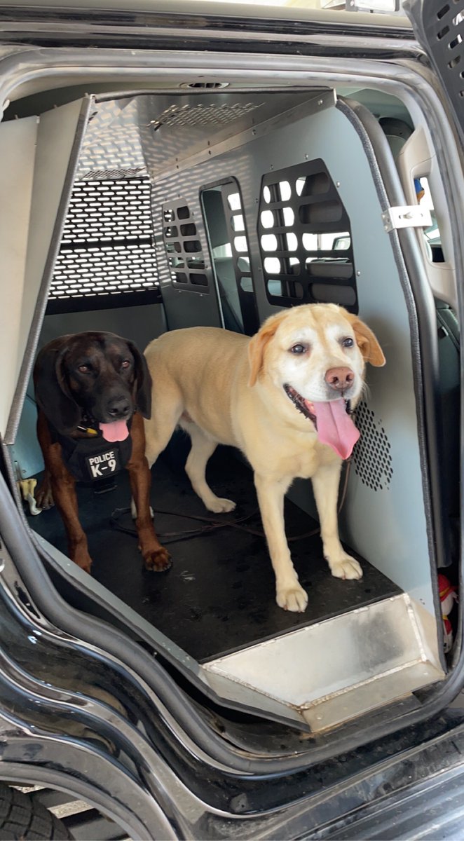 SCCMOPD's tweet image. We are fur-ever grateful for our K-9 partners. Happy National Dog Day from K-9s Tank and Bonnie. #SCCPDCommunity