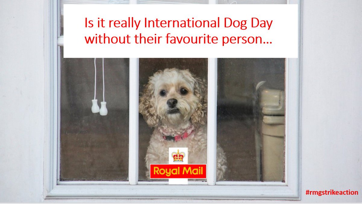 _HB_writes's tweet photo. @OneMinuteBriefs also did this until I realised the brief was #DogOutfits and not just #InternationalDogDay...always read the brief! https://t.co/8PqYIIYebB