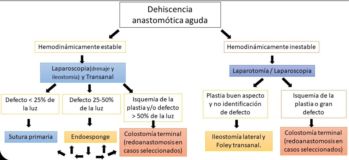 PerePlanellas's tweet photo. El tiempo transanal nos permite evaluar el estado de los tejidos, el tamaño del defecto y decidir si reparar, #endosponge o desmontar.

Unidad de #Cirugía #Colorectal del @Htrueta de #Girona: @coll_farres @ac_codina @APigemRodeja @Escataq @olga_delisau ... https://t.co/YswhCj7xy7