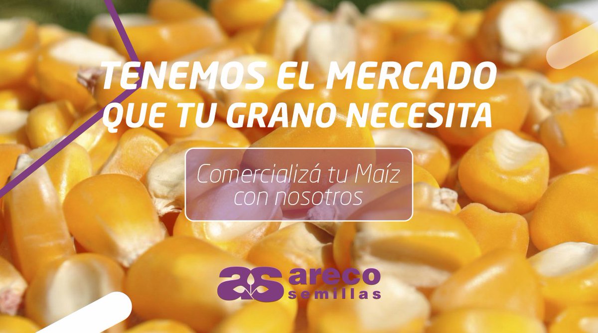 ArecoSemilllas's tweet photo. 👉 En  𝘼𝙧𝙚𝙘𝙤 𝙎𝙚𝙢𝙞𝙡𝙡𝙖𝙨 ofrecemos a nuestros clientes las mejores alternativas para comercializar su grano 🌽
Nuestra ubicación estratégica sumado a nuestra estructura operativa ofrecen una excelente oportunidad para realizar los mejores negocios
Consultanos https://t.co/Dj1MR5LTYG