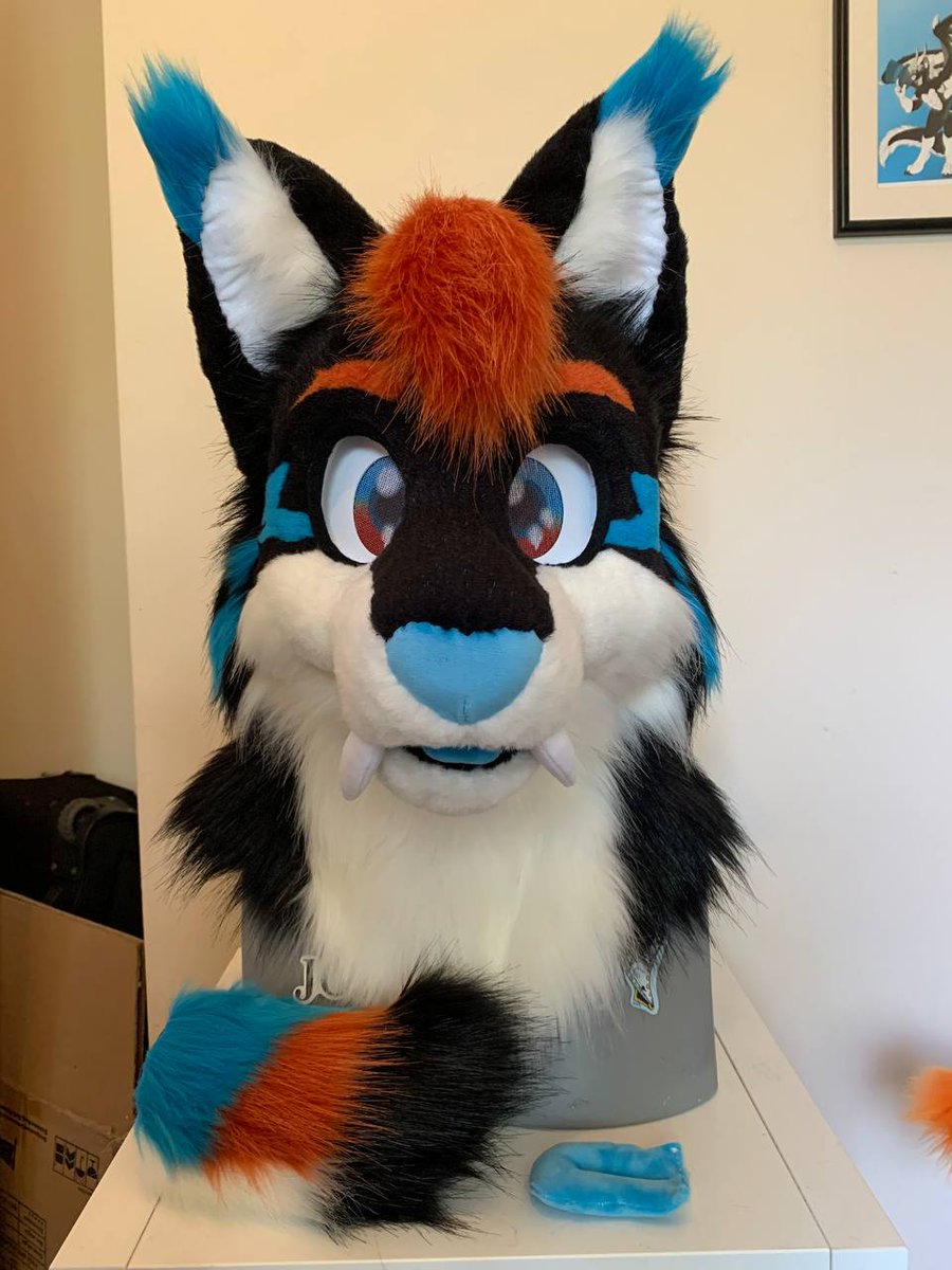 VaporMoonStudio's tweet photo. Lightning Saber-Toothed Lynx Is now Looking for a home! Made by me at House Of Cards Fursuits - Check them out! The head fits 23 inch circumference heads and below. 
If you cannot bid, a retweet would be sweet and helps alot! 
https://t.co/lokyWiBncR https://t.co/2KR2aTOxFj