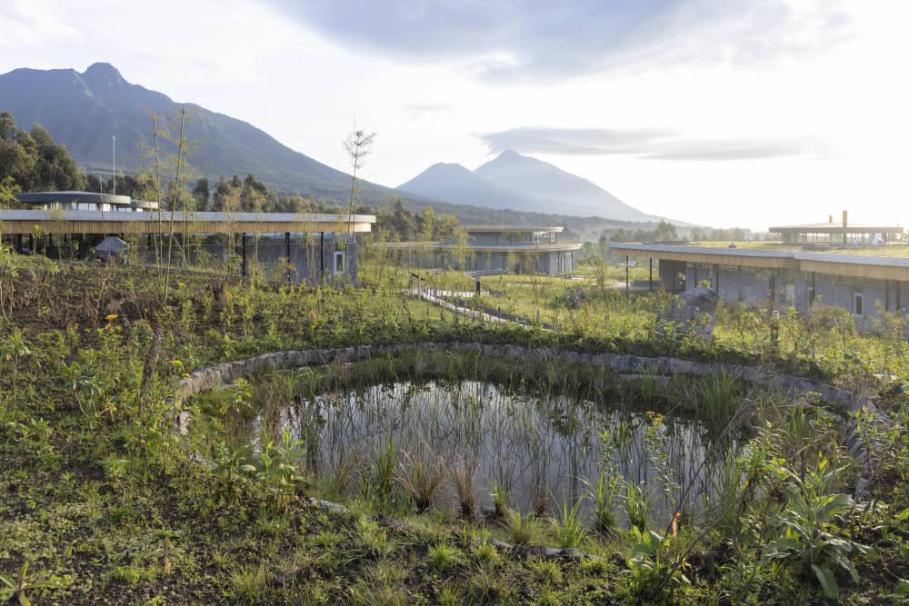 BusingyeJohns's tweet photo. At #KwitaIzina you will be a stone throw away from the Ellen DeGeneres Campus for the Diana Fossey Gorilla Fund, a conservation institution in its own class. Look up links...you will certainly put the campus on your bucket list. @TheEllenFund https://t.co/ruceAQ7PQ7