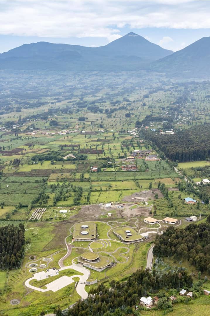 BusingyeJohns's tweet photo. At #KwitaIzina you will be a stone throw away from the Ellen DeGeneres Campus for the Diana Fossey Gorilla Fund, a conservation institution in its own class. Look up links...you will certainly put the campus on your bucket list. @TheEllenFund https://t.co/ruceAQ7PQ7