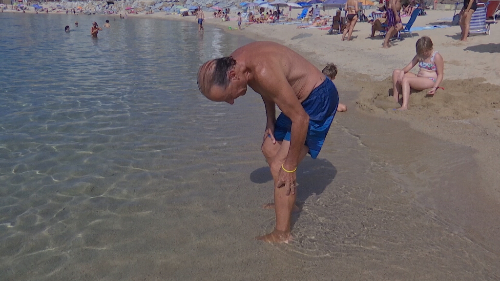 Un peix desconegut mossega els banyistes a Calonge i Sant Antoni bit.ly/3cmGwF7