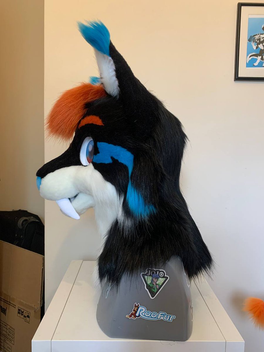 VaporMoonStudio's tweet photo. Lightning Saber-Toothed Lynx Is now Looking for a home! Made by me at House Of Cards Fursuits - Check them out! The head fits 23 inch circumference heads and below. 
If you cannot bid, a retweet would be sweet and helps alot! 
https://t.co/lokyWiBncR https://t.co/2KR2aTOxFj