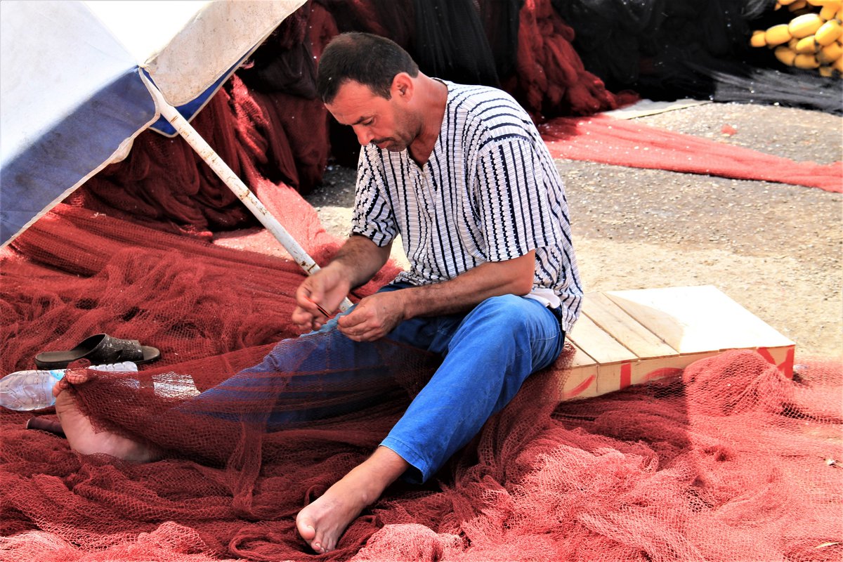 NDjennad's tweet photo. Azzeffoun, Algérie. Fishermen, septembre 2017 #algerie #Azzeffoun #algerianmood #Kabylie #algerianphotography #algerianphotographers #moodphotography #azzeffounphoto #fisherman #pecheurs https://t.co/ySkgU9sace