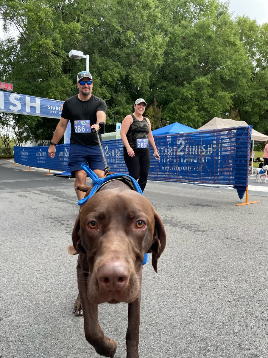 How are you pampering your pup for #NationalDogDay? Us? We're spending tons of time outside training for @RescueMe5k! 🏃