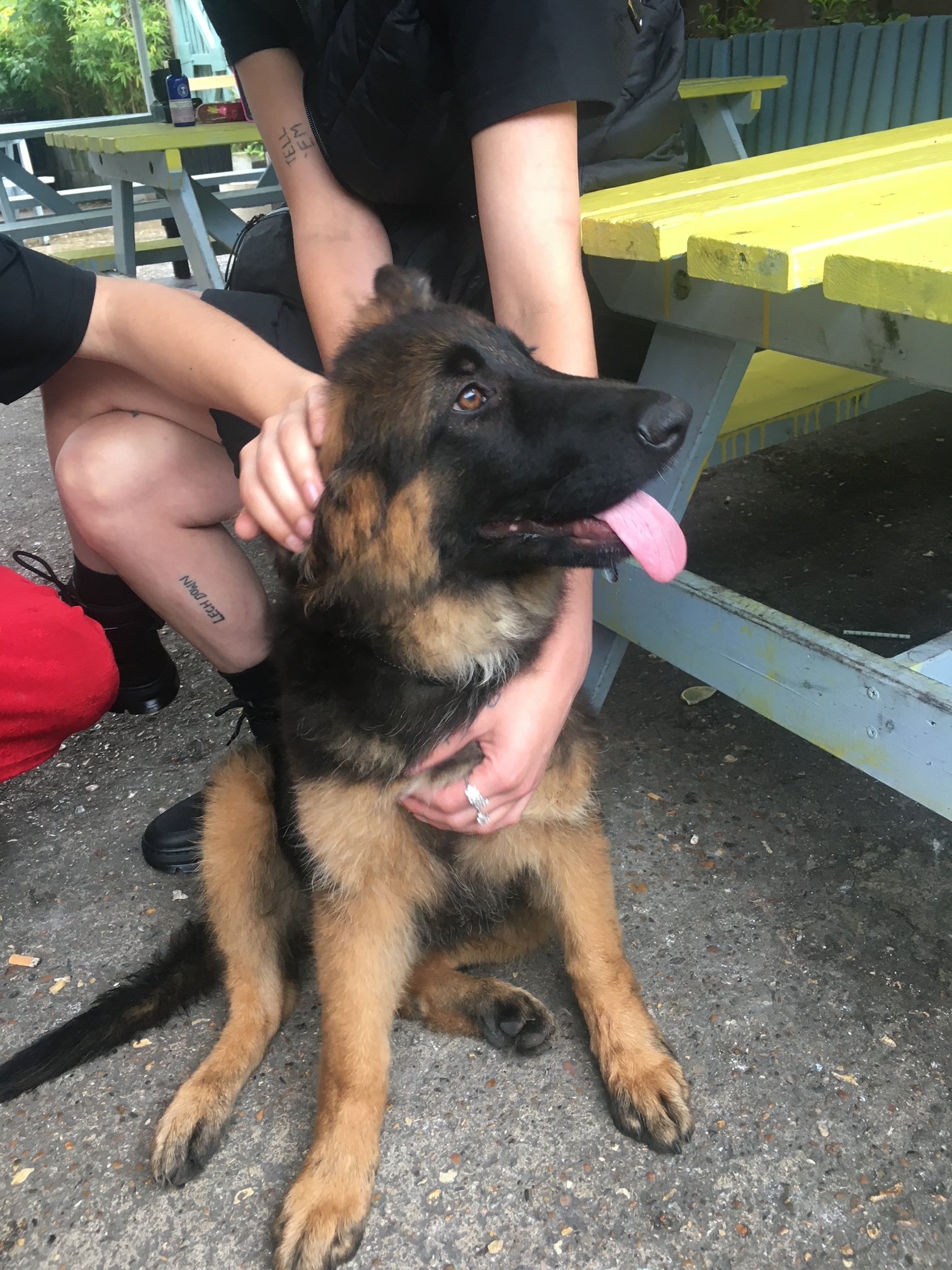 Maceo Cortezz (CortezzMaceo) / Twitter