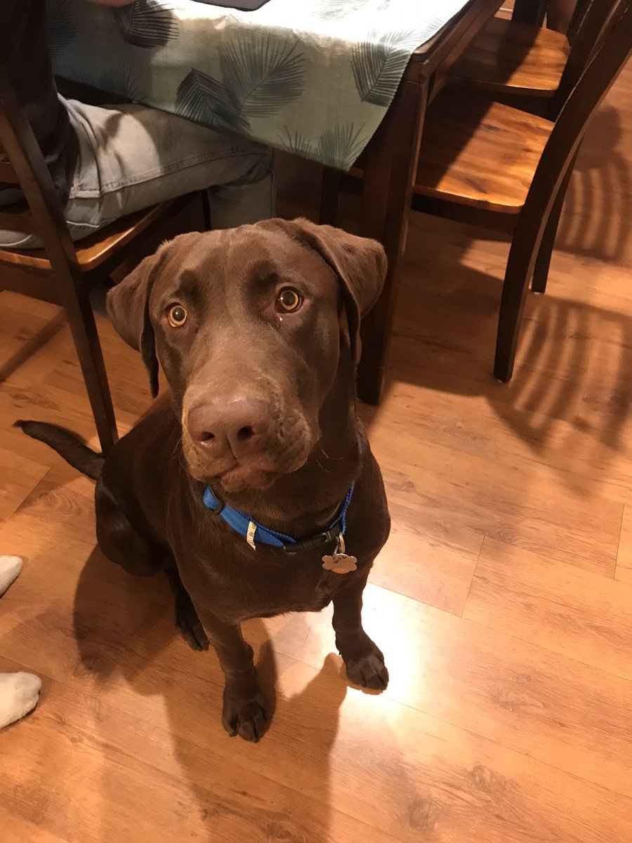 Cecily White tweet media