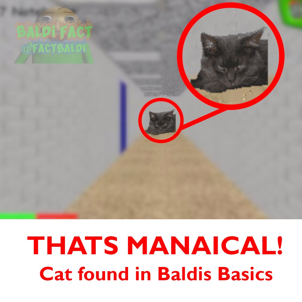 Whaaaat?!?! #BaldisBasics #Facts