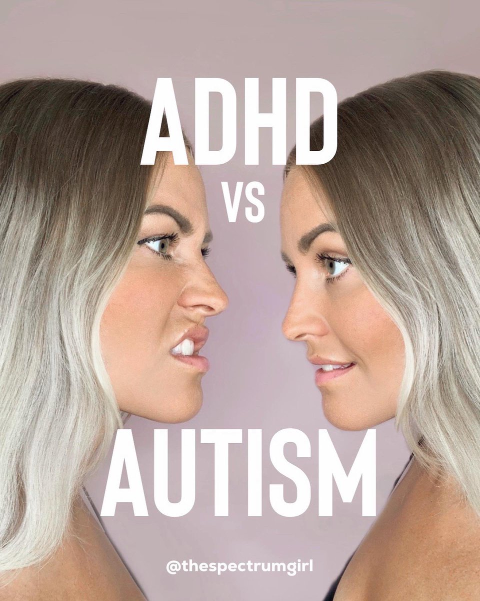 The Spectrum Girl🍭 tweet media