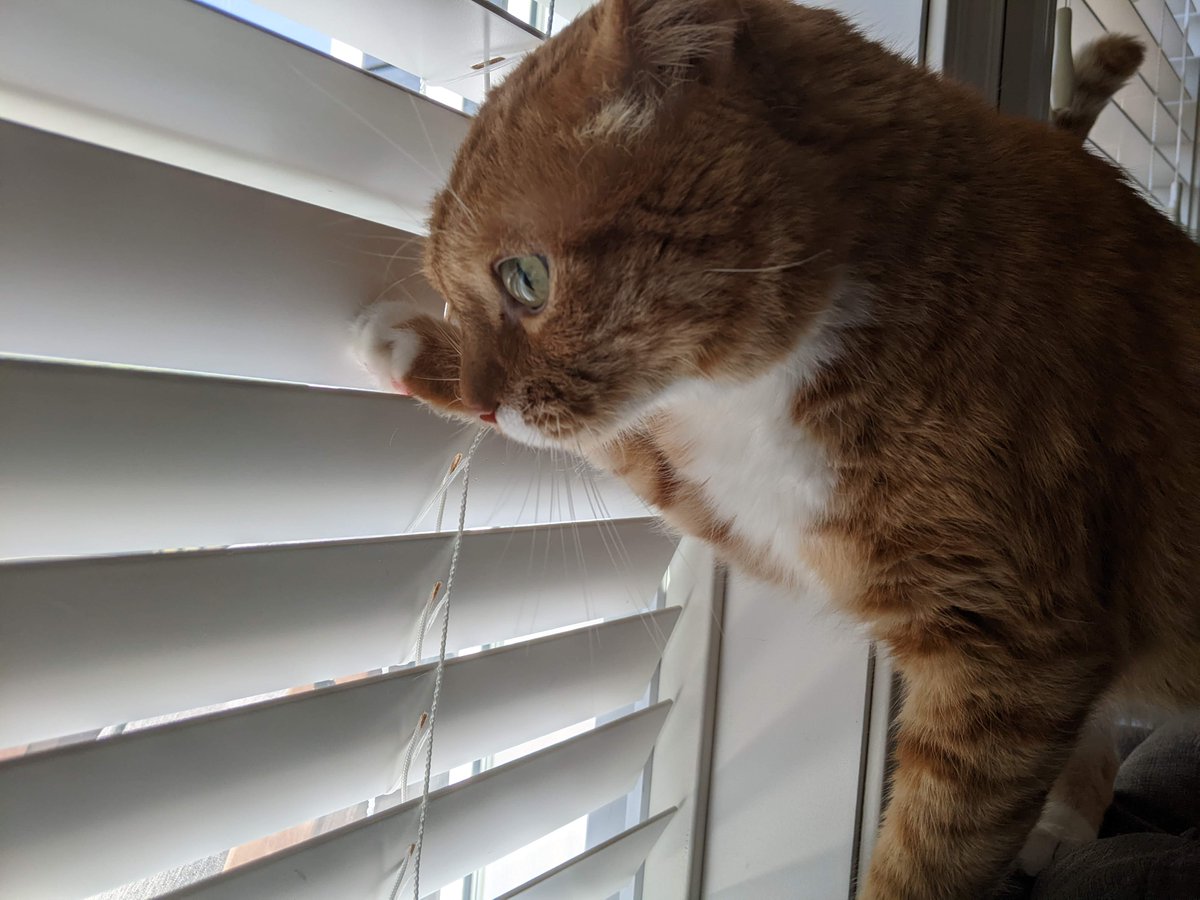 me checking social media to see commentary on thumbnails every time Ryan posts a new video