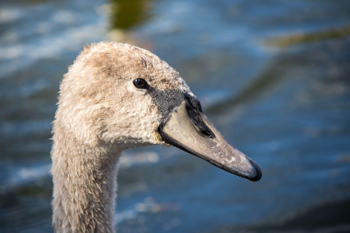 Ari Weil tweet media