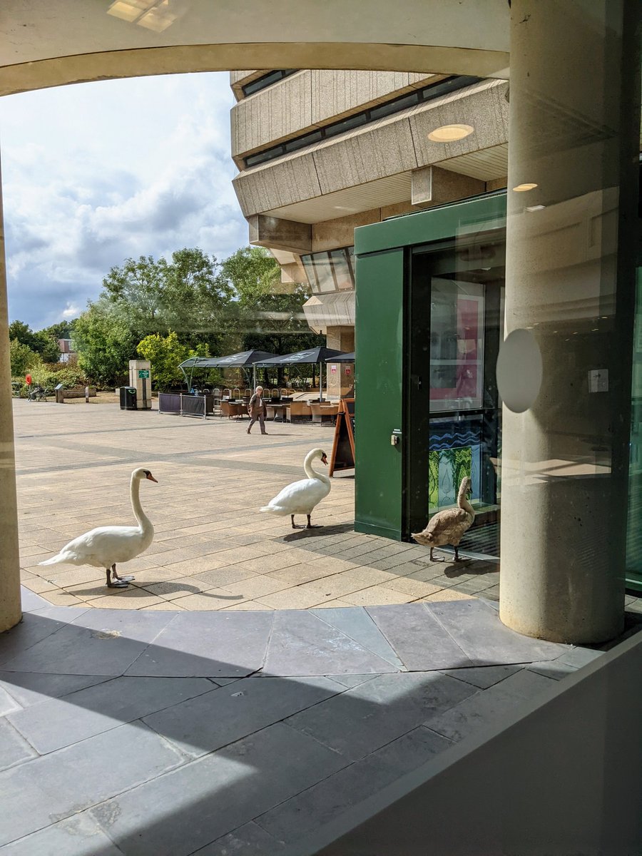 Ari Weil tweet media