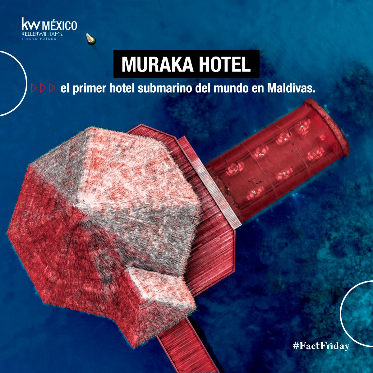 #SabíasQue !Se inauguró el primer hotel submarino del mundo¡
Es un acuario de dos plantas donde puedes dormir, nadar, o despertarte con los ondulantes brazos de los corales. 🏨🌊🐚 #Muraka #FactFriday #SomosKW