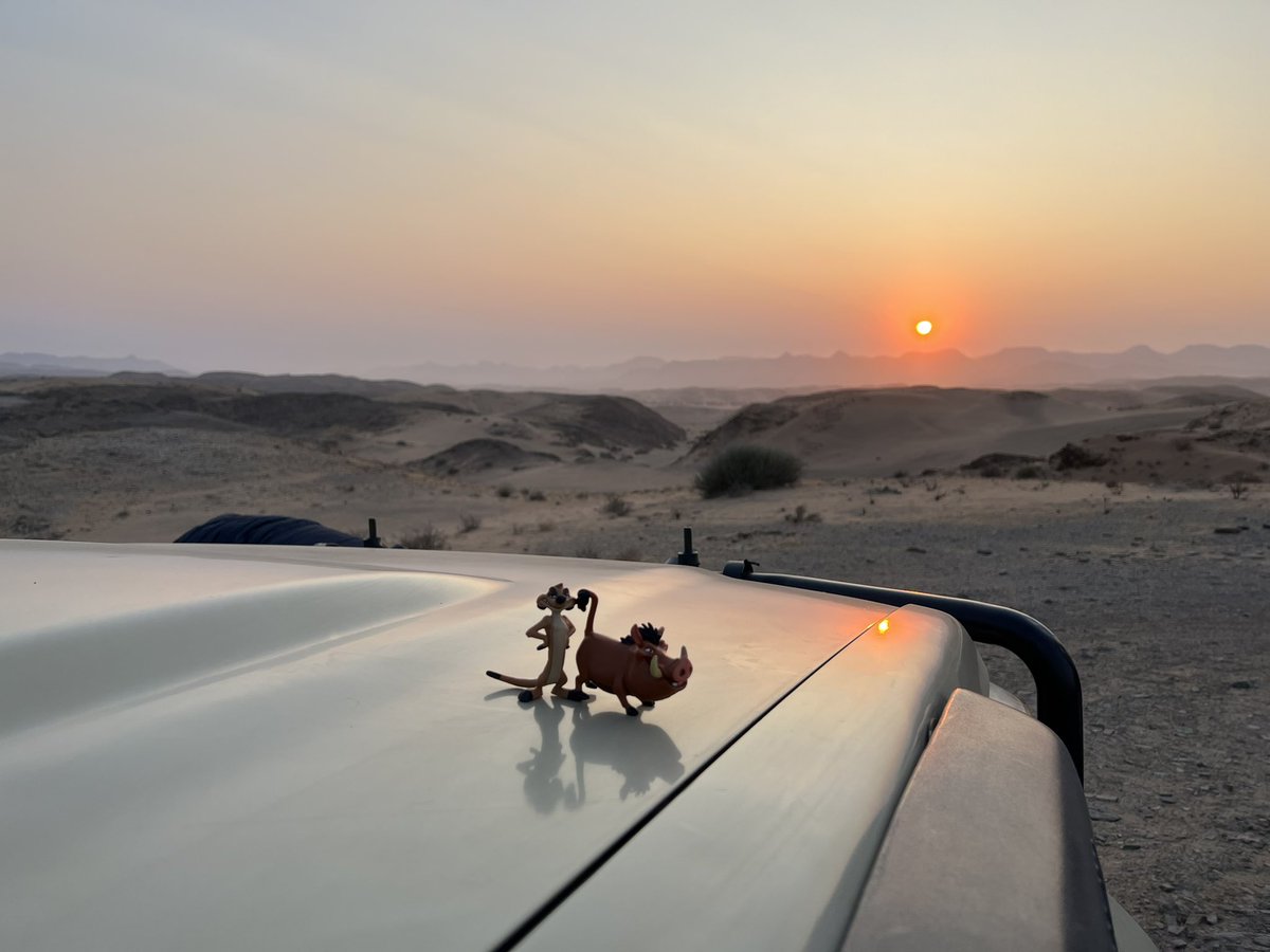 alvaudan's tweet photo. Départ à 100 à l’heure pour #Timon_And_Pumba. Au Mount Etjo puis à Doro Nawas. Rencontre avec les animaux 🦒🐘🦓🦩🦛🦏🦧et découverte culturelle (peuple des Damara, gravures de twyfelfontein et tuyaux d’orgue)… et surtout une nuit à la belle étoile, Wow🤩. #BackToTheRoots https://t.co/aRPc57Ojby