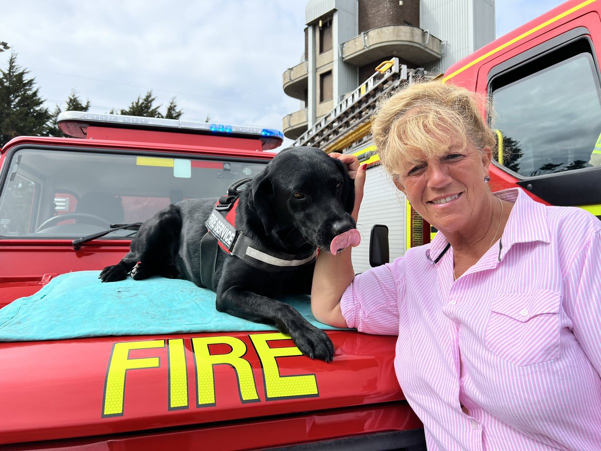 The_NFRSA's tweet photo. On #InternationalDogDay May we please take a moment to acknowledge the amazing work our #ServiceDogs do for our country and communities. 

God bless you all. 

https://t.co/Na2cXJw3iM

#dogs #DogsOnTwitter #dogsoftwitter #PoliceDogs #FireDogs #PrisonDogs #BorderForceDogs https://t.co/R0OhSTwGT2