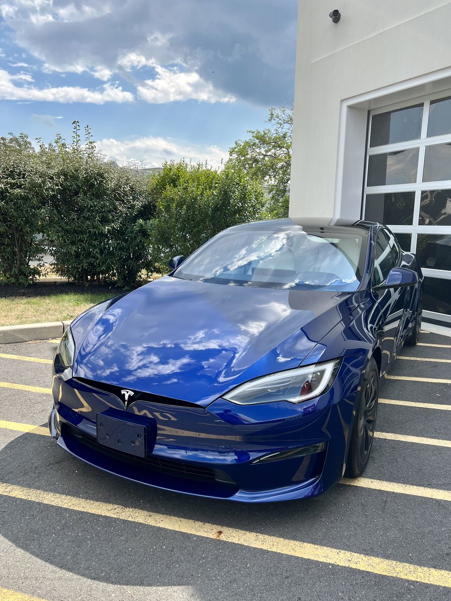 tesla_maurice tweet picture