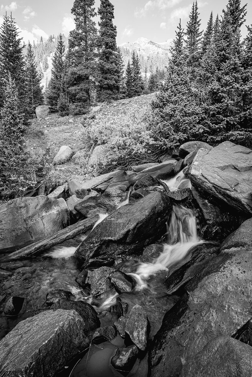 DMartinezImages's tweet photo. “I am losing precious days. I am degenerating into a machine for making money. I am learning nothing in this trivial world of men. I must break away and get out into the mountains to learn the news”
― John Muir
Wise Words from John.
#NFTFam #nftcommunity #NFTphotographers https://t.co/UFFQCz2pVP